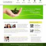 consultants-website-design